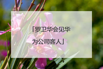 罗卫华会见华为公司客人